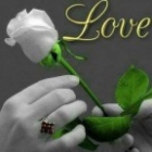Foto des Tages